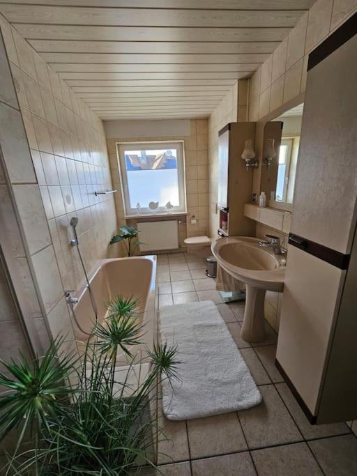 Ferienhaus Distelfink Entspannen In Der Mitte Von Deutschland Gudensberg ภายนอก รูปภาพ
